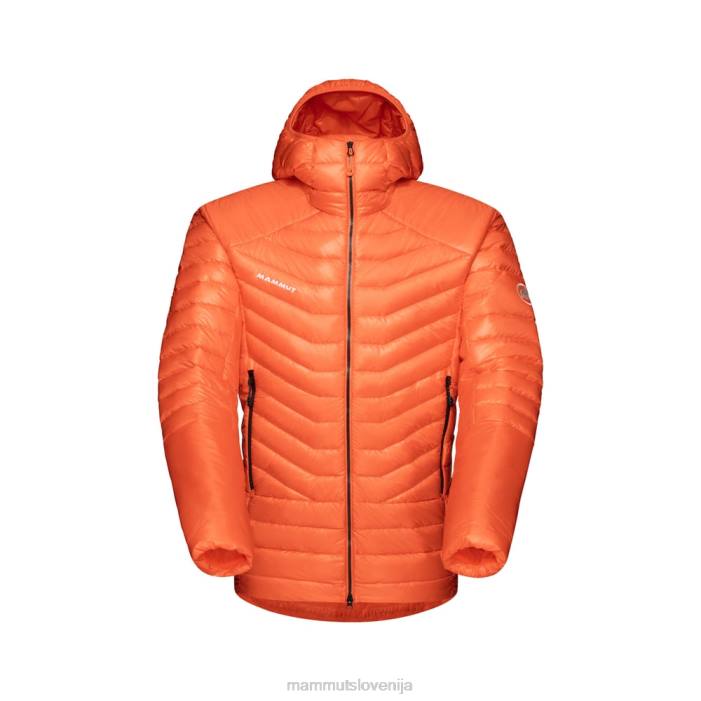 arumita oblačila 2JLD764 moški Mammut eigerjoch napredoval v jakni s kapuco